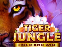 Tiger Jungle